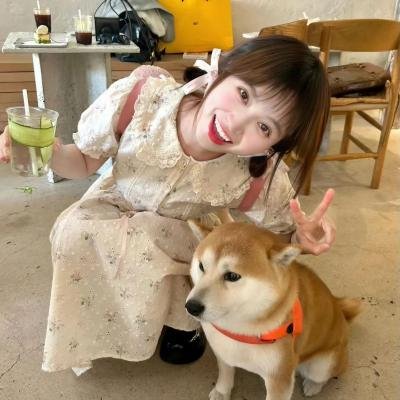多情的野猫